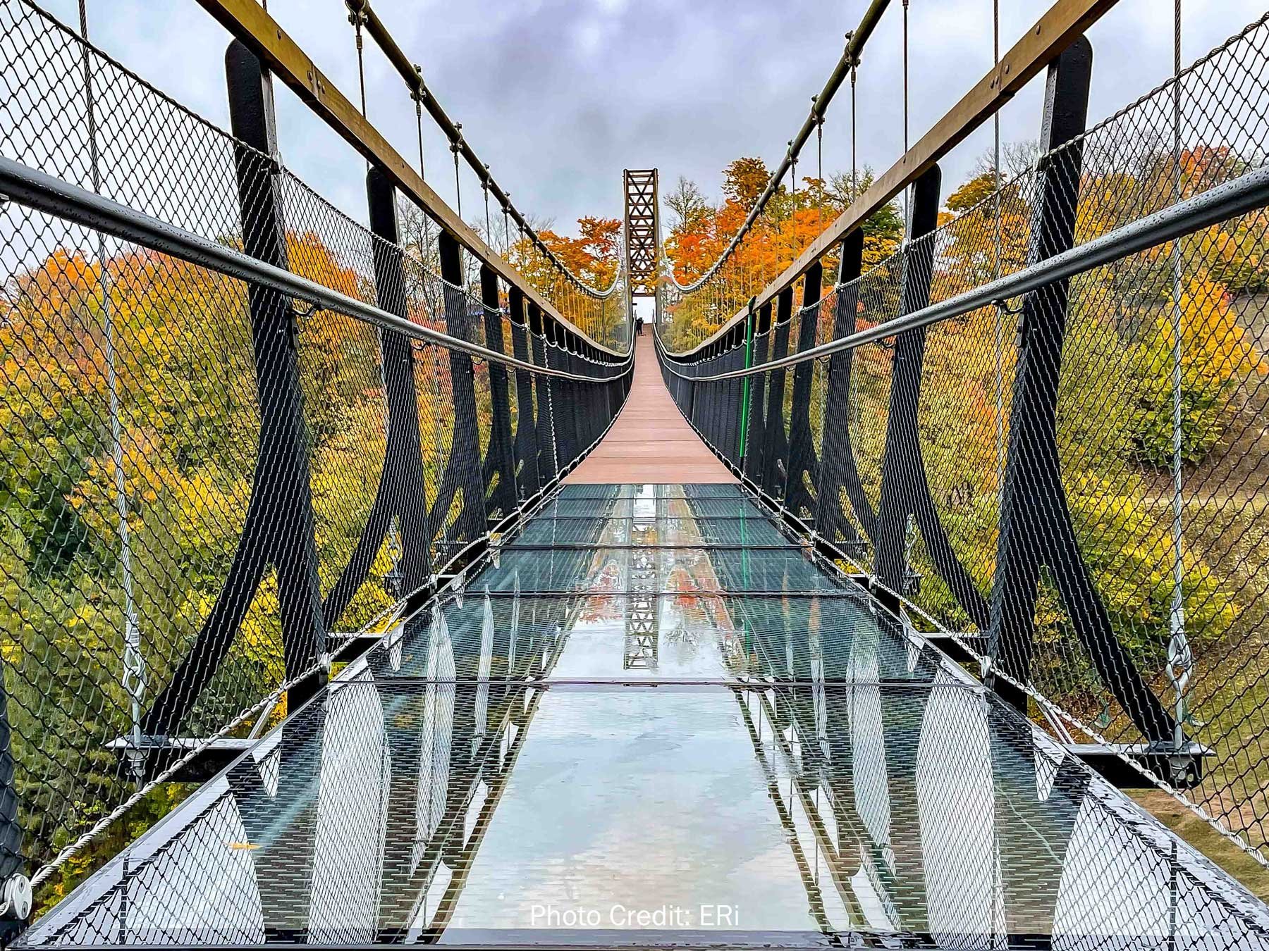 SkyBridge Michigan Glass Floor Bridge - Credit Experiential Resources